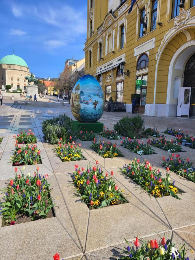 Downtown Studio Apartman Pécs Eksteriør bilde