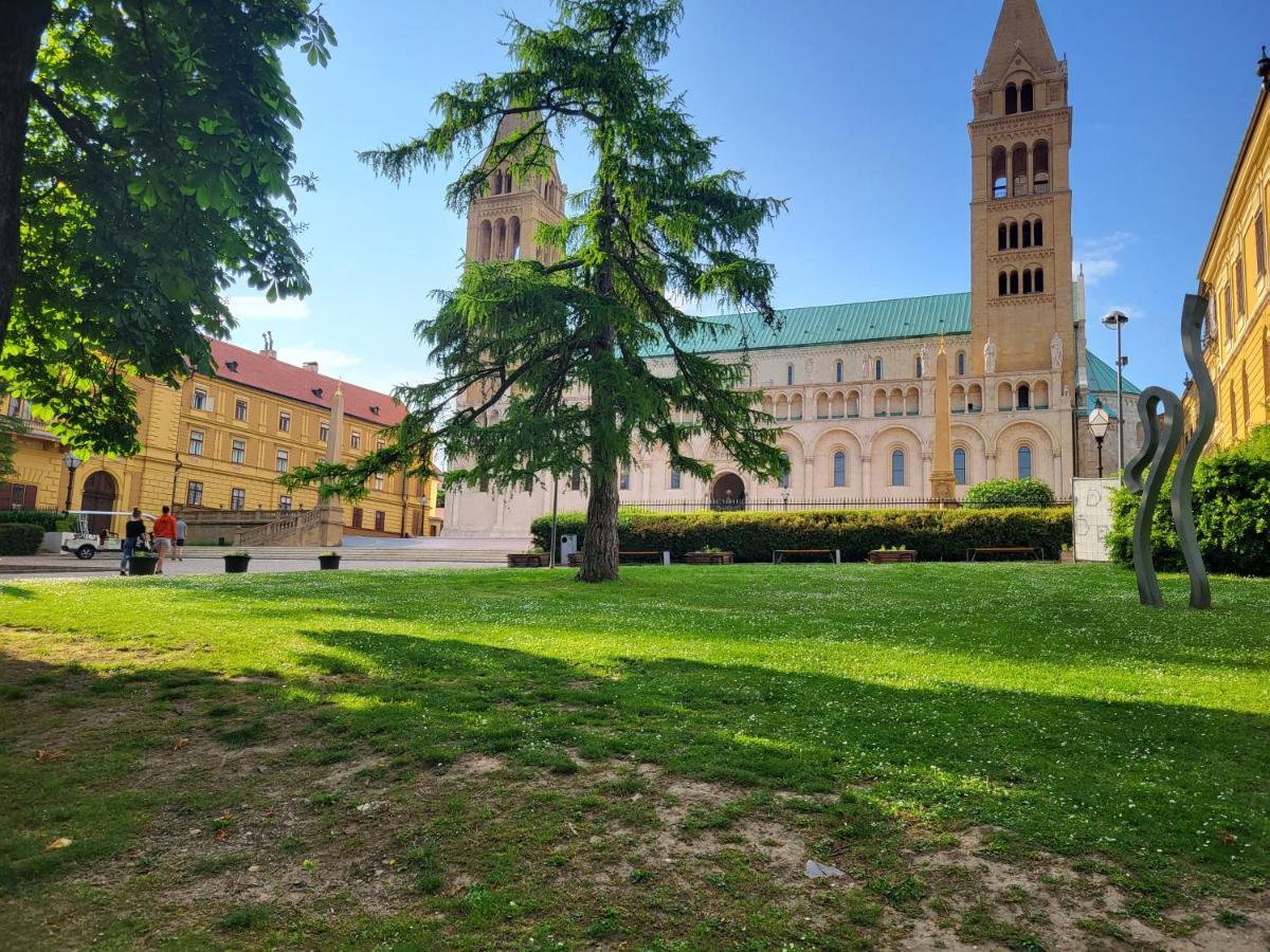 Downtown Studio Apartman Pécs Eksteriør bilde